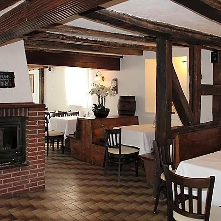 Hotel-gasthof Zum Ritter 3* Gundelsheim (Baden-Wurttemberg)