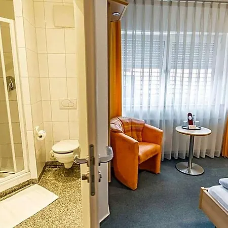 Hotel-gasthof Zum Ritter 3* Gundelsheim (Baden-Wurttemberg)