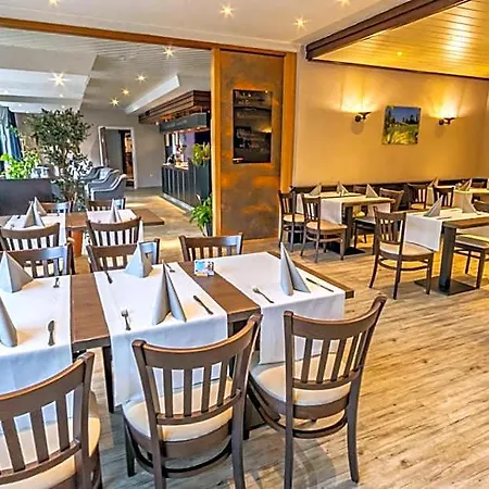 Hotel-gasthof Zum Ritter Hotel Gundelsheim (Baden-Wurttemberg)