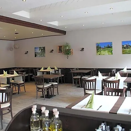 Hotel-gasthof Zum Ritter Gundelsheim (Baden-Wurttemberg)