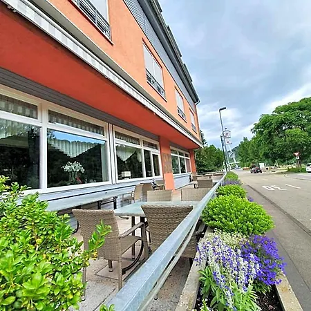 Hotel Hotel-gasthof Zum Ritter Gundelsheim (Baden-Wurttemberg)